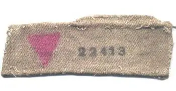 350px-Pink-triangle-armband.jpg