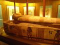 Albany museum, egyptian mummy - rsa.jpg