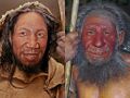 Homo sapiens and Neanderthal.jpg