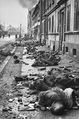 Stalingrad dead soldiers.jpg